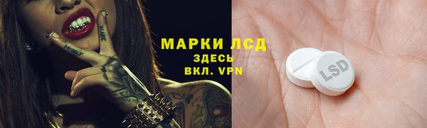 дмт Богданович
